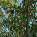 WhatsApp Image 2026-01-09 at 13.23.22 (1)