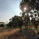 WhatsApp Image 2026-01-09 at 13.23.22