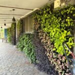 WhatsApp Image 2026-01-09 at 13.23.23 (1)