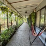 WhatsApp Image 2026-01-09 at 13.23.23